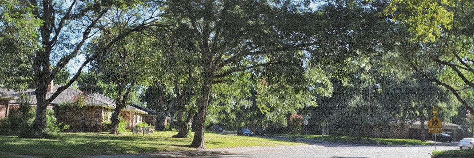 BucknerTerrace's profile banner image
