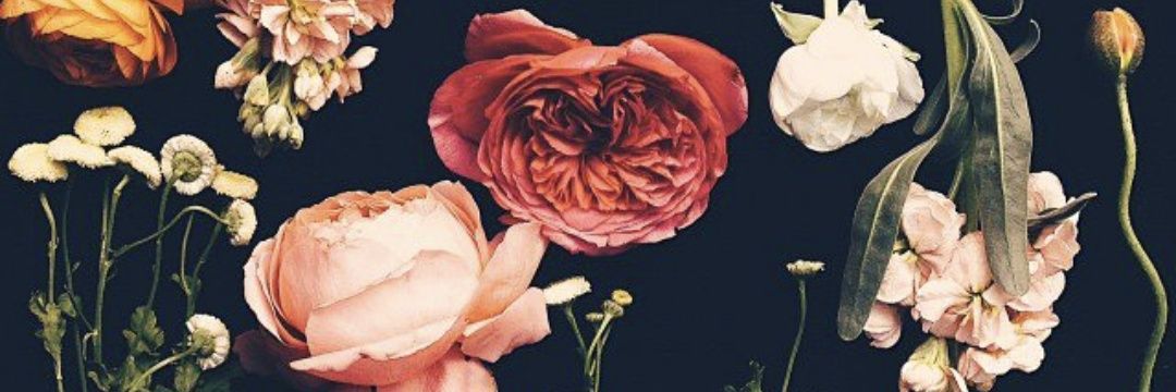 yany_s_f's profile banner image