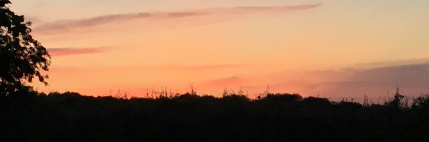 Saints - the football experiment banner