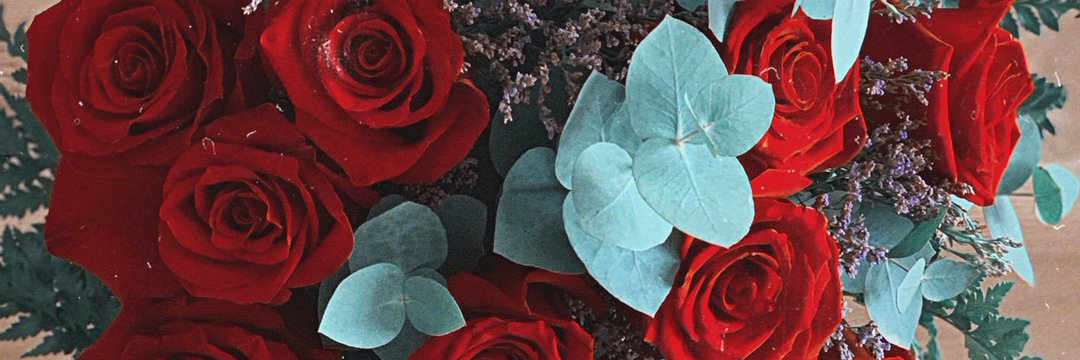 _Letylopez_'s profile banner image