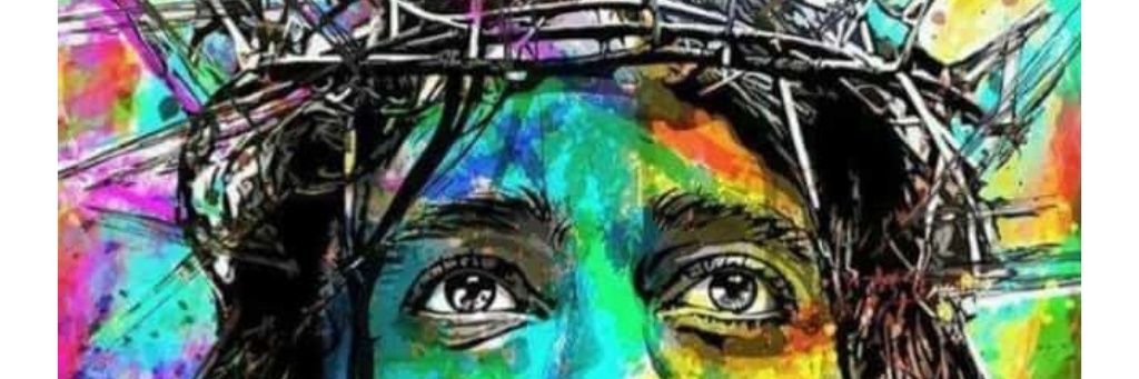 Daniela Palmera Perez 🧡 banner