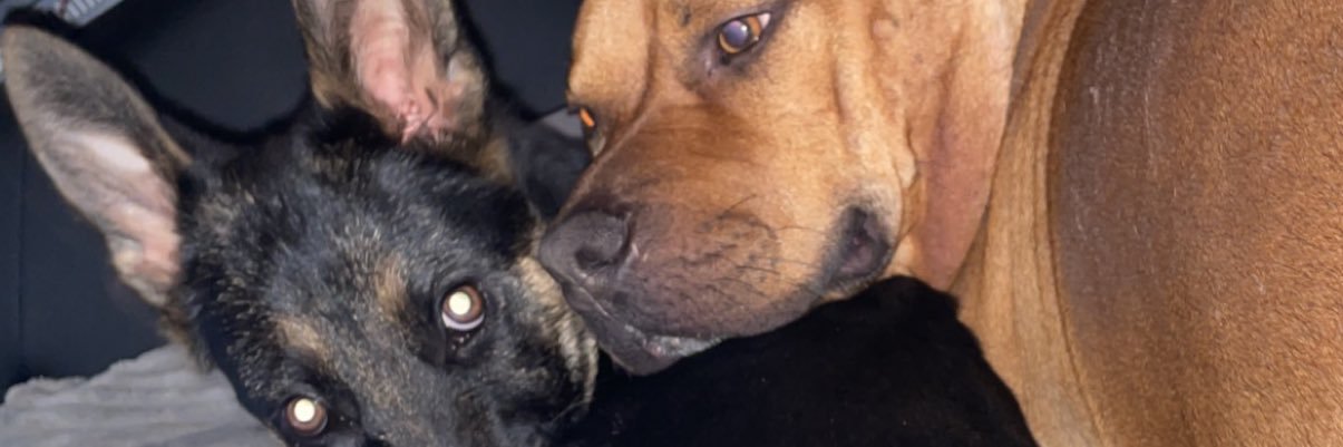 BaileyOlds2's profile banner image