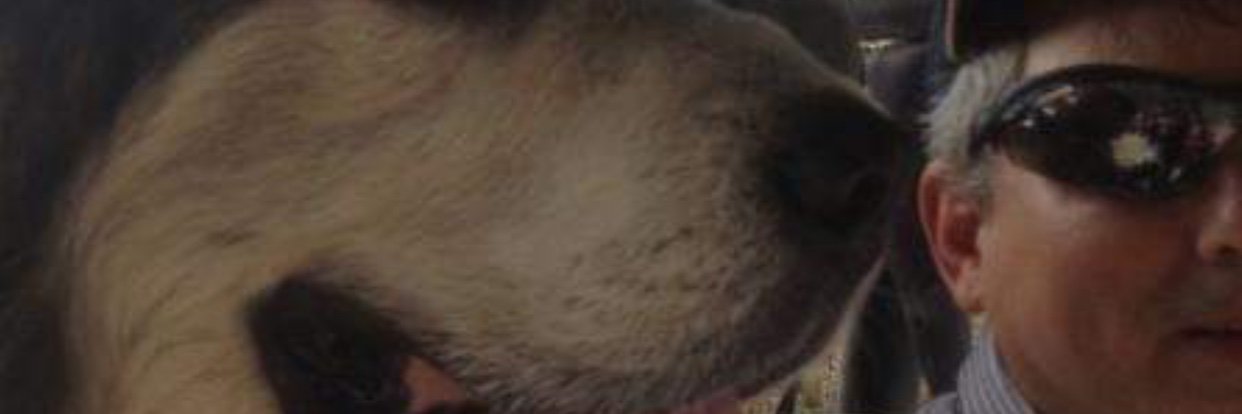 SteveGowan1's profile banner image