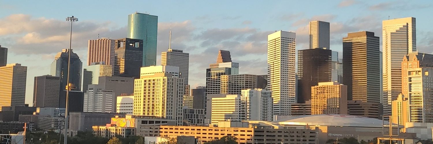 LogicalGoblin21's profile banner image