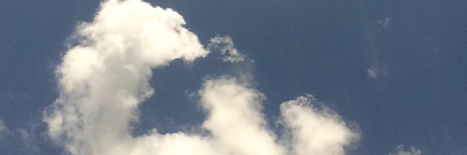 peeeeedro_'s profile banner image