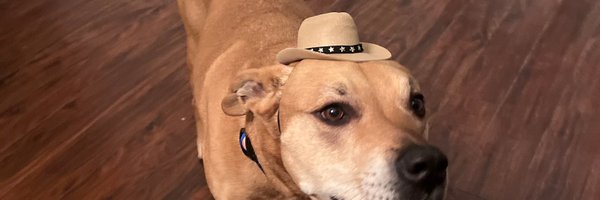 GrahamHill24 Profile Banner