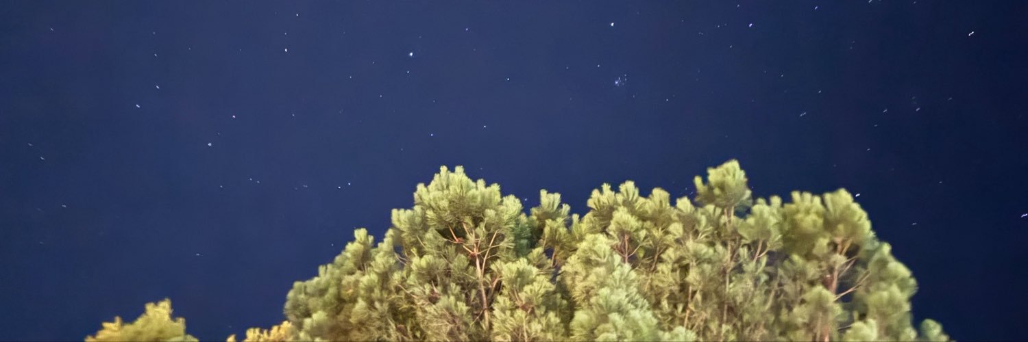 ppachee56's profile banner image