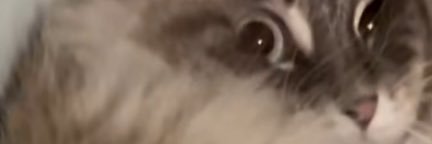 jackiedaytona_'s profile banner image