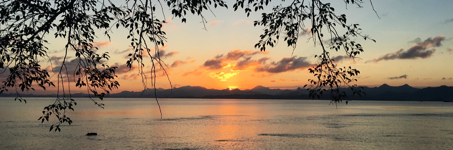 Courtney Durham banner