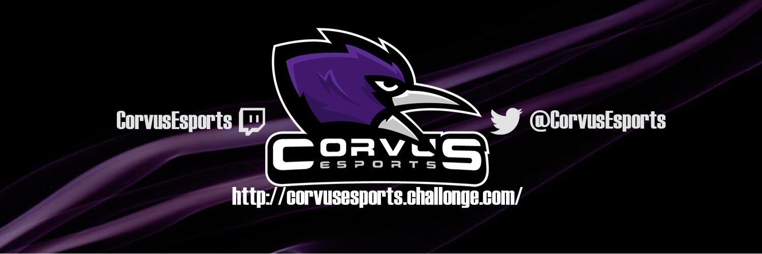 CorvusTourney's profile banner image