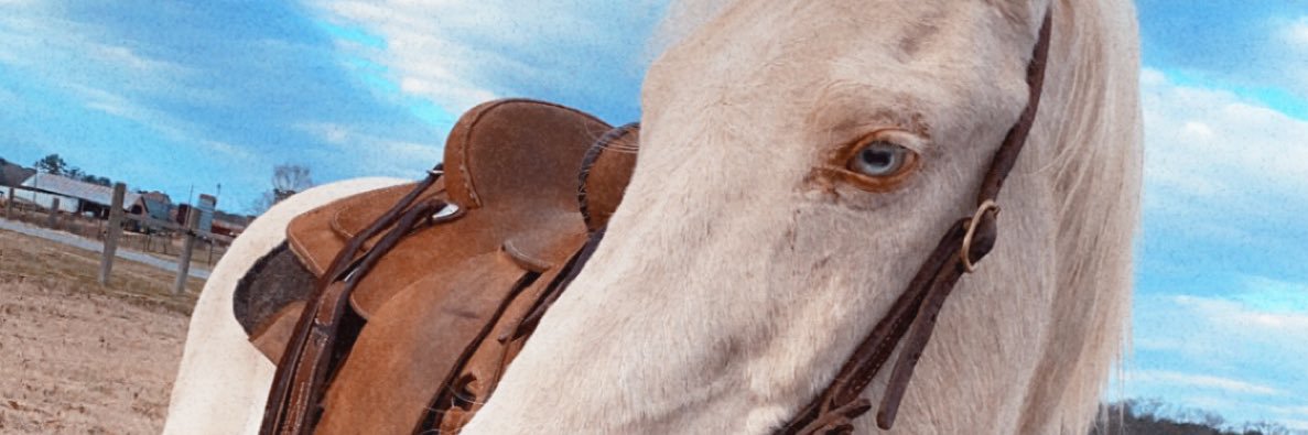 kas_________'s profile banner image