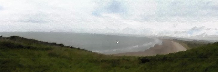 teatreeman's profile banner image