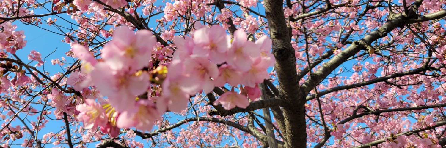 ぜろ＠グッズ取引垢 banner