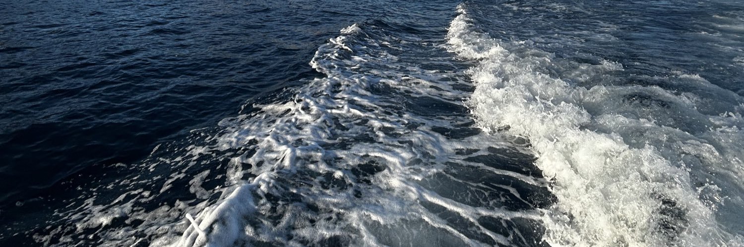 Maxi Rodriguez banner