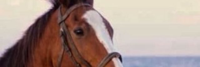 khloodmmm123's profile banner image