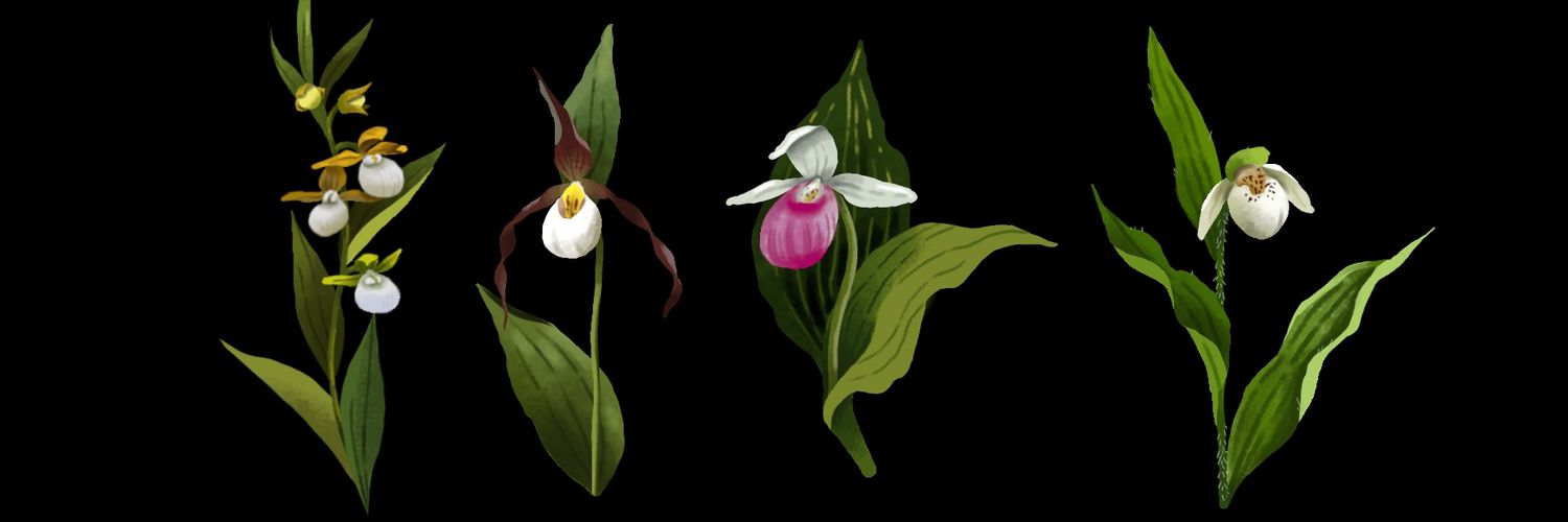 Callie A. Oldfield, PhD banner