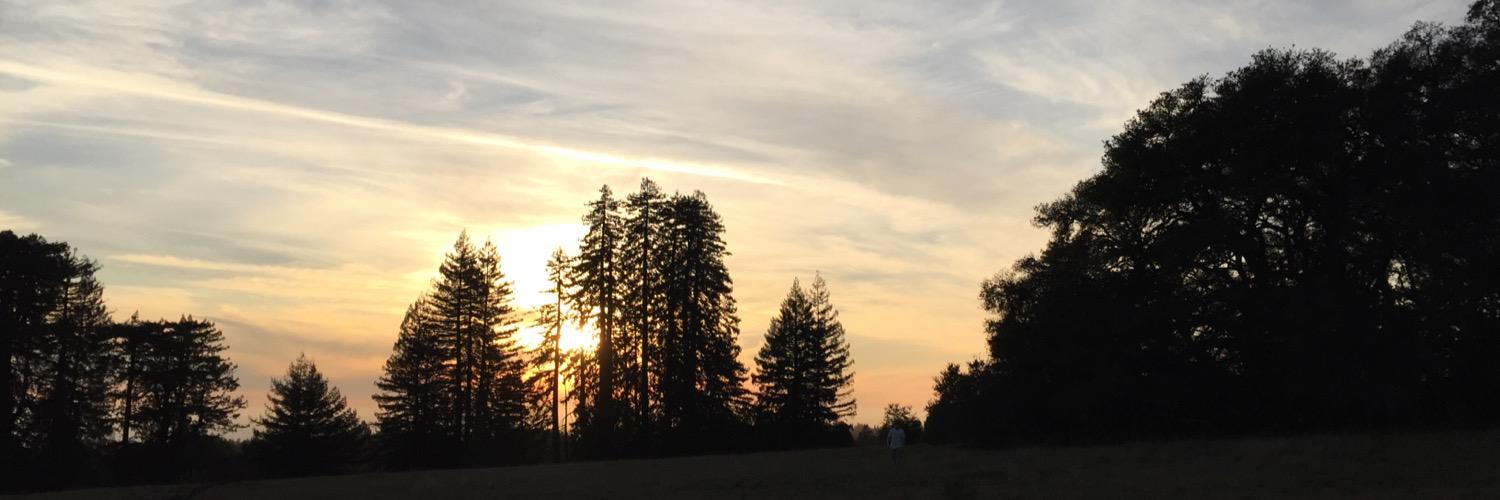 getfiggywithit4's profile banner image