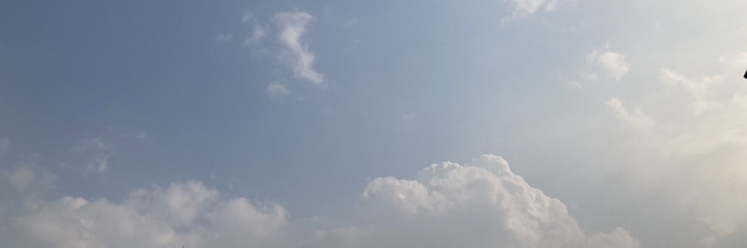 s banner