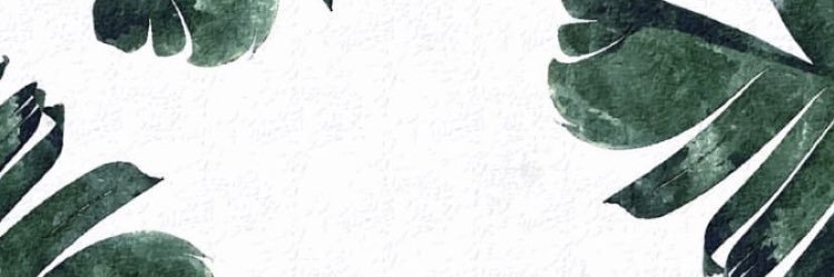 Judithdejaja's profile banner image