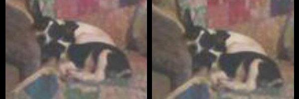 robloxsss44's profile banner image