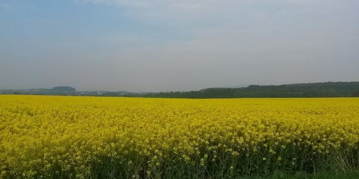 JRvanRooyen's profile banner image