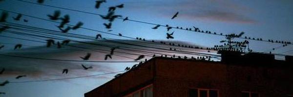 katy_wind Profile Banner