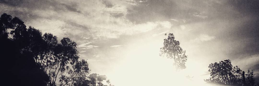 Muertelenta banner
