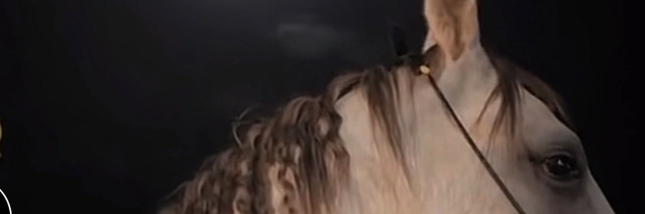 atarf771's profile banner image