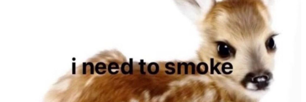 will banner