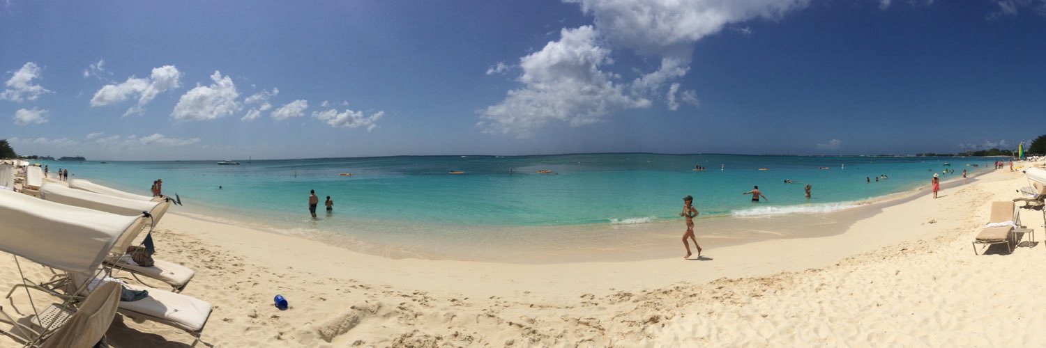 William Rodie banner