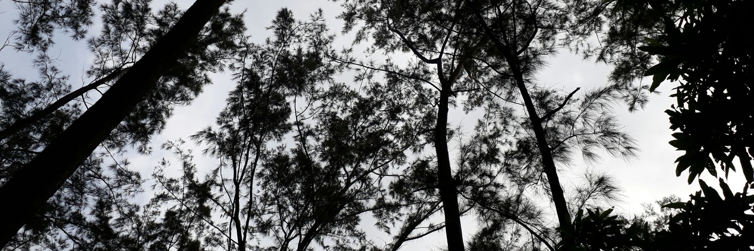 SleepyOwl1127's profile banner image
