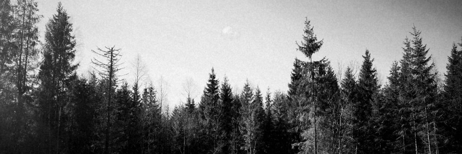 caroherca's profile banner image