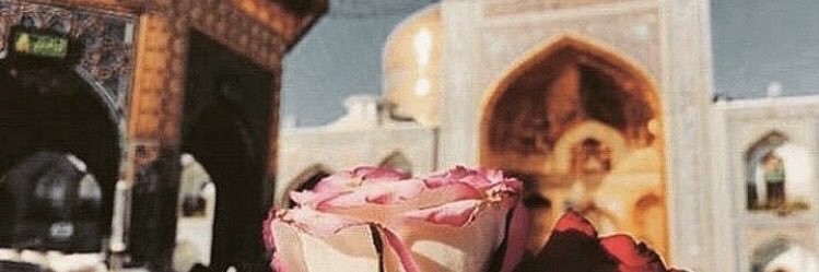ohnoorshedidnt's profile banner image