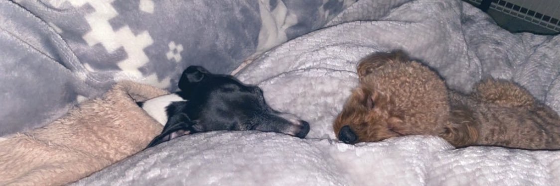 xxyuki63xx's profile banner image