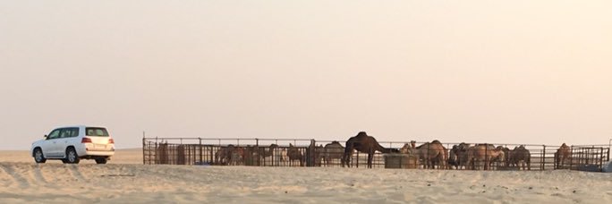 naimamaa's profile banner image