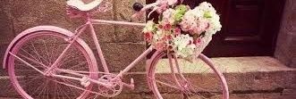 NYedani's profile banner image