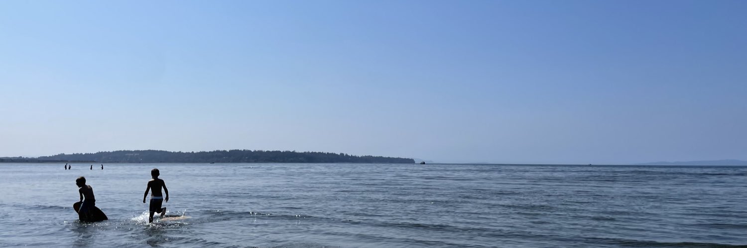 Lanalyzethis's profile banner image