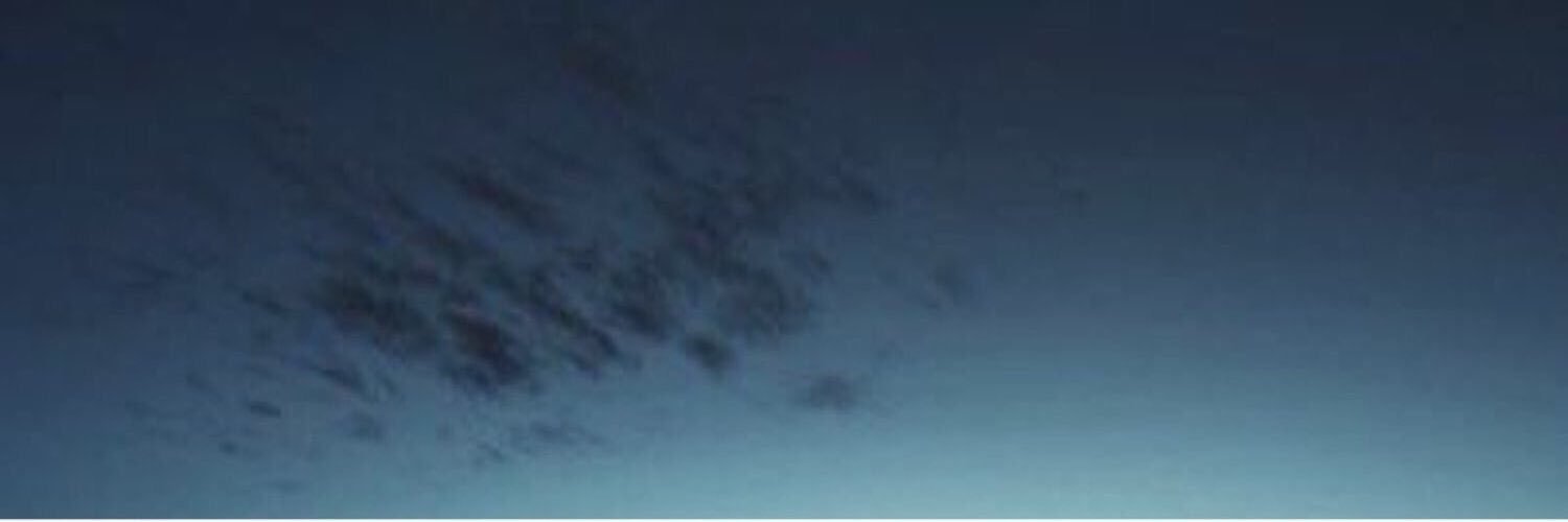 LeannaBoozer's profile banner image