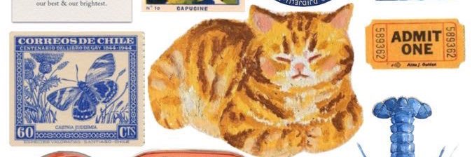 lou 🏳️‍⚧️ banner