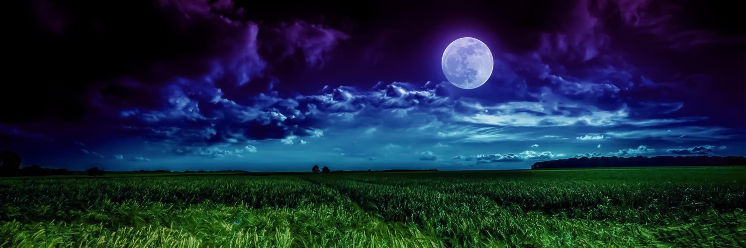 RangerSleeping's profile banner image