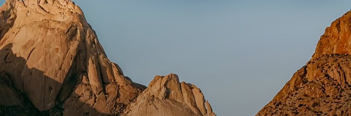 bot #hacktivist banner