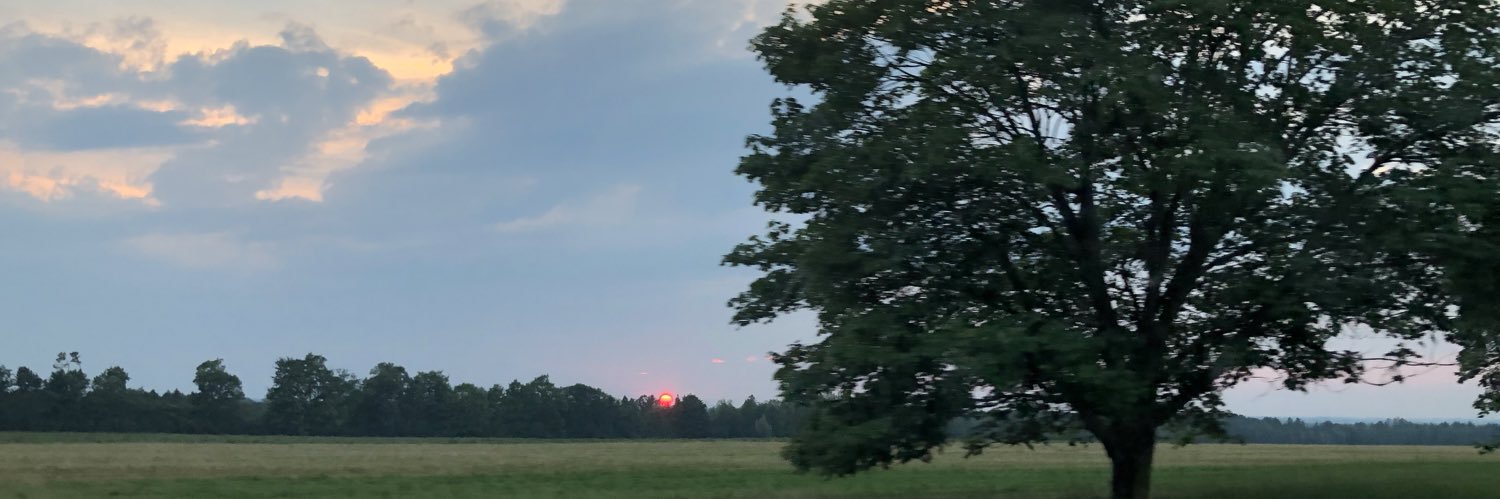 michellekoitsis's profile banner image