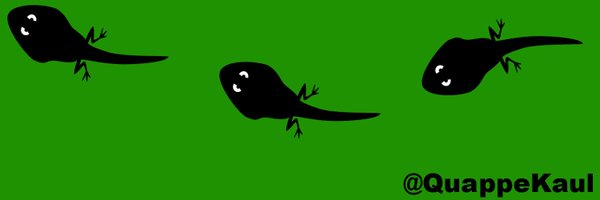 QuappeKaul Profile Banner