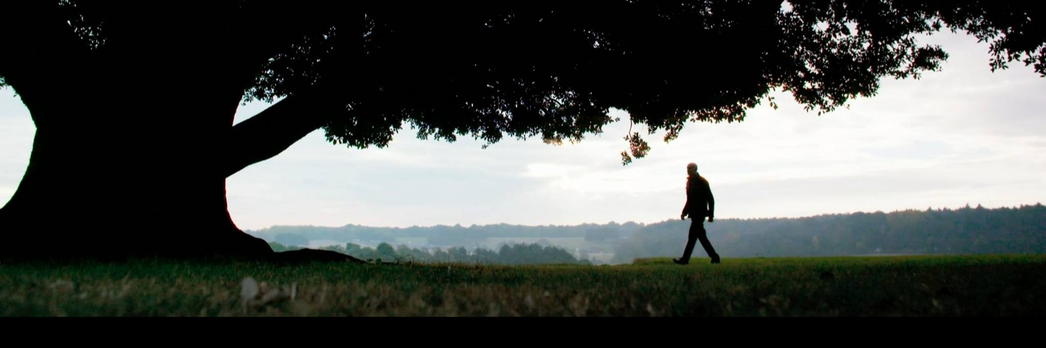 Fleeting Year banner