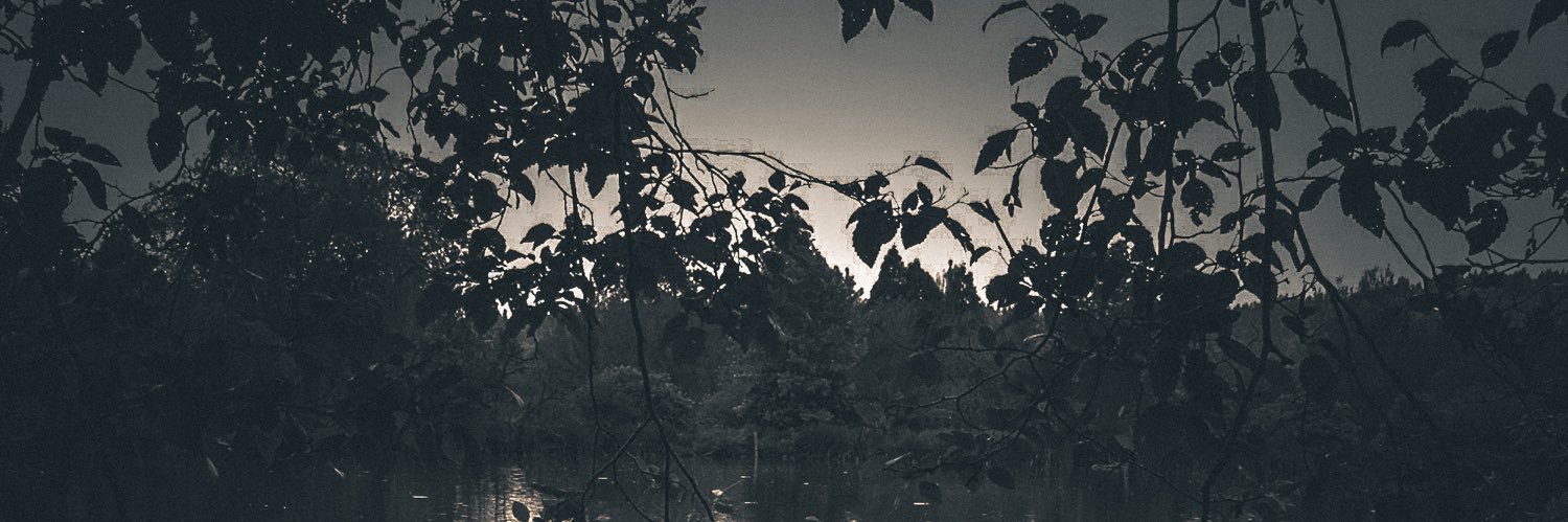 Freedom Fighter banner