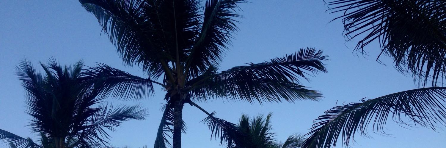mollyLwalsh's profile banner image
