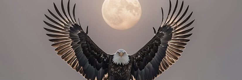 rafadan0505's profile banner image