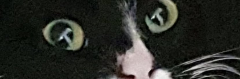 HeiligeDirruk's profile banner image