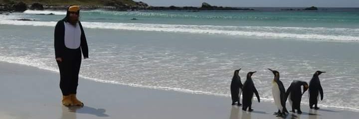 HelenCaughey's profile banner image
