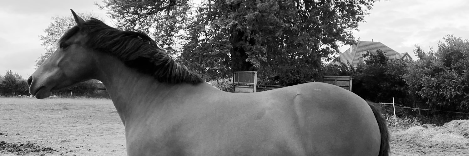 adeline_c__'s profile banner image